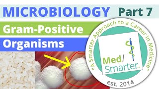 USMLE Step 1 | Microbiology | Gram Positive Organisms | Part 7