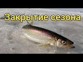 Закрытие сезона твердой воды. Сахалинская рыбалка & Sakhalin fishing