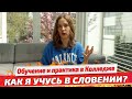 Как я учусь в Словении? Обучение и практика в колледже. Образование в Европе