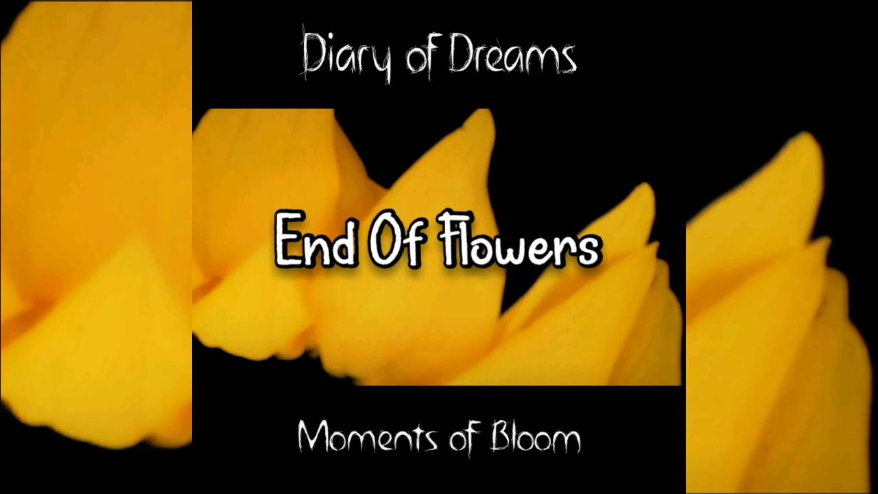 Diary of Dreams End of Flowers (New Version) sub español & lyrics
