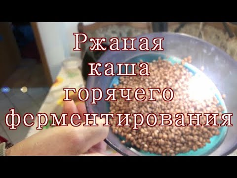 Юрий Кривобок ржаная каша горячего ферментирования