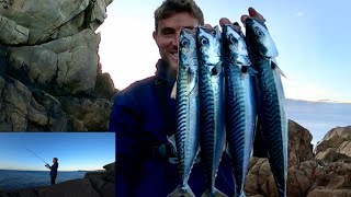 UK MACKEREL FISHING WITH METAL JIGS FISHING FOR FOOD!!