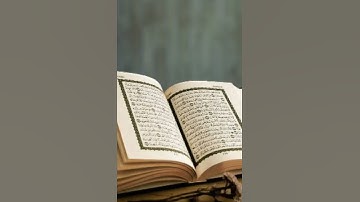 سورة الهمزة بصوت /عبدالرحمن السديس