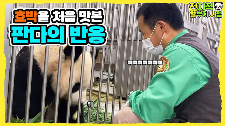 (SUB) How Would Baby Panda React When She Meets Halloween Pumpkin Ghost?🎃│Panda Family🐼