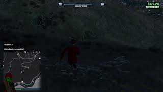 GTA V ONLINE