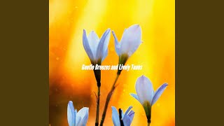 Alluring Moods for Momentum Reflection