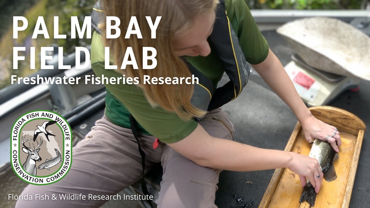 Palm Bay Field Lab