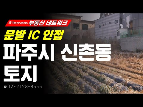 부동산네트워크 : 자유로 통한 서울 접근성 용이한! ‘파주시 신촌동 토지’