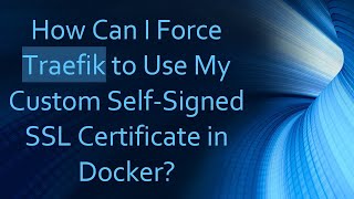 How Can I Force Traefik to Use My Custom Self-Signed SSL Certificate in Docker?