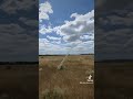 «Таврический» «Храм Кирилла и Мефодия» 30.07.2024 вт. 13:00 #великийхерсон