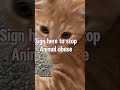 Sign here! #stopanimalabuse