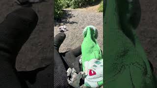 Of course socks #environmentalcleanup #metaldetecting