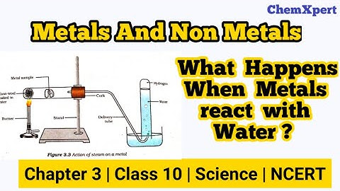 What Happen When Metal Reacts With Water ? |  Activity 3.10 | Chapter 3 | Class 10 Science | NCERT