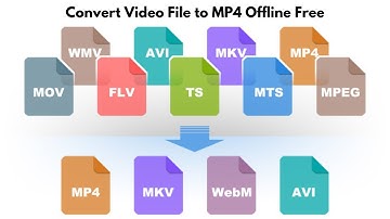 How To Convert Video To MP4 - Full Guide (2025)