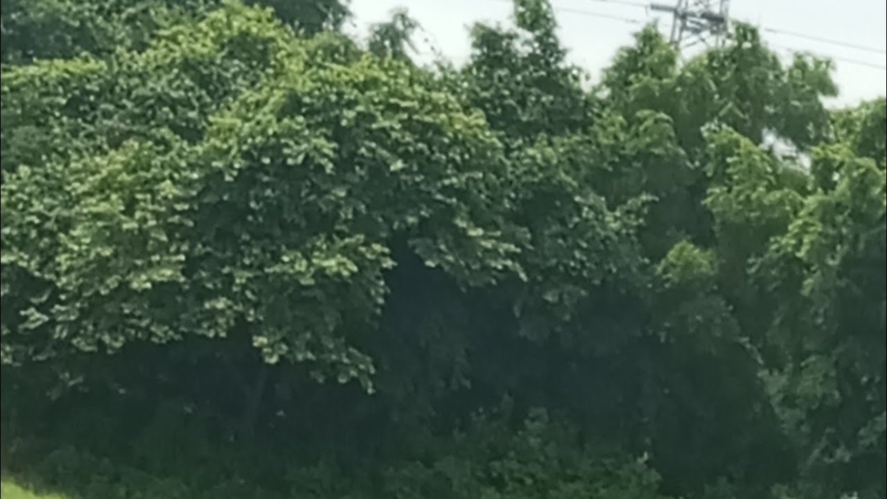 आप चाहे कितने भी अच्छे हों, लोग आपकी कमियां ही निकालेंगे। ☹️😲🤐😈👿🎃🤖👻💀☠️