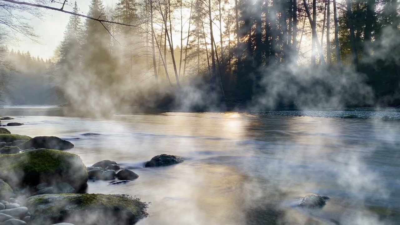 Deep Relaxation 🌙 Slow Forest River Flow for Anti-Fever | Deep Rest & Healing