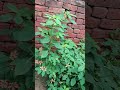 Enjoy the Nature