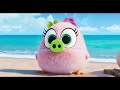 Angry Birds 2 - Nemici Amici per Sempre | Clip "Uova"