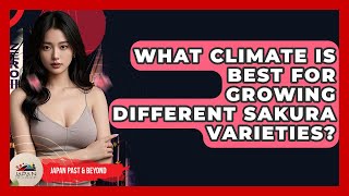 What Climate Is Best For Growing Different Sakura Varieties? - Japan Past And Present