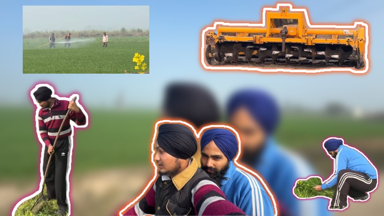 ਪੰਜਾਬ ❤️ 