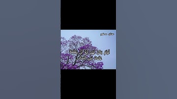 وإنه لتنزيل رب العالمين نزل به الروح الامين #القرآن_الكريم #راحة_نفسية (سورة الشعراء )