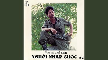 Người Nhập Cuộc
