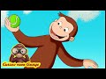 Curioso come George 🐵 Scuola di Obbedienzia 🐵 Cartoni Animati per Bambini 🐵  Episodio Completo