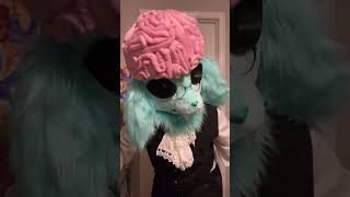 #fursuiter #fursuit #furryfandom #neopets #fursona #fursuiting #neopetsfursuit