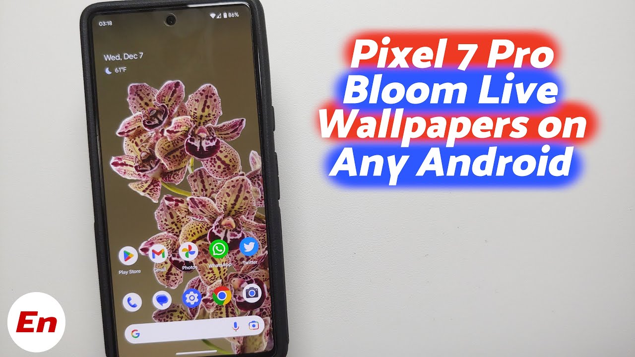 Google Pixel 5 live wallpapers Download them and set them on any phone