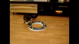 MOV05821