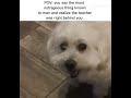 #funny