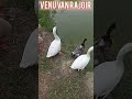 VENU VAN RAJGIR SHORT VLOGS #shortvideos #rajgir #shorts #viral #trending