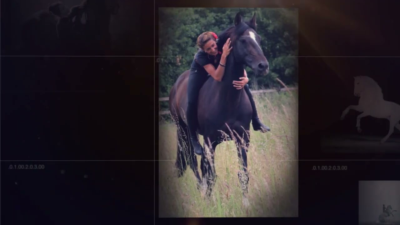 The Horses Who Made Me Book Trailer