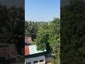 ytshort #shorts #shortsvideo #shantyskitchen