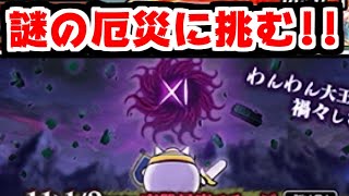 【にゃんこ大戦争】挑戦厄災のわんわん王国世界を救えるのはアイツしかいない【本垢実況Re#1879】