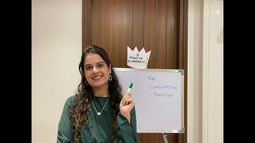 The Consumption Function  by Vidhi Kalra