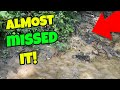 HOW DID I MISS THAT!?!? NEVER FOUND ONE! RIVER TREASURE AND ANTIQUE BOTTLE HUNT!!
