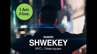 SHWEKEY - I Am Alive