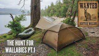 3 Day Island Camp Searching for Wallabies in Scotland | Hilleberg Niak + Tarp 5