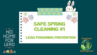 Safe Spring Cleaning 2024 #1 - Lead Poisoning Prevention