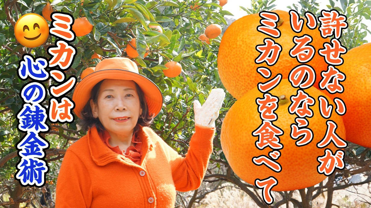 「許せない人」がいるのなら、ミカンを食べて。