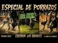 👊🏻💥🔥❗️PORRAZOS DE 1995❗️🔥💥👊🏻 | CAYERON LOS GRANDES JINETES | PRIMERA PARTE