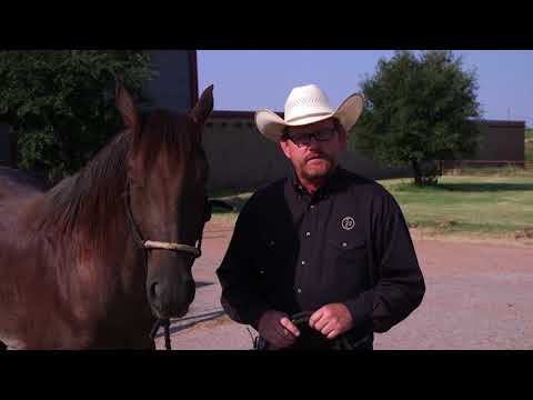 Video: WT Wagoner Ranch nyob qhov twg?