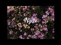 Free for profit use beats ngiti love song hiphop type