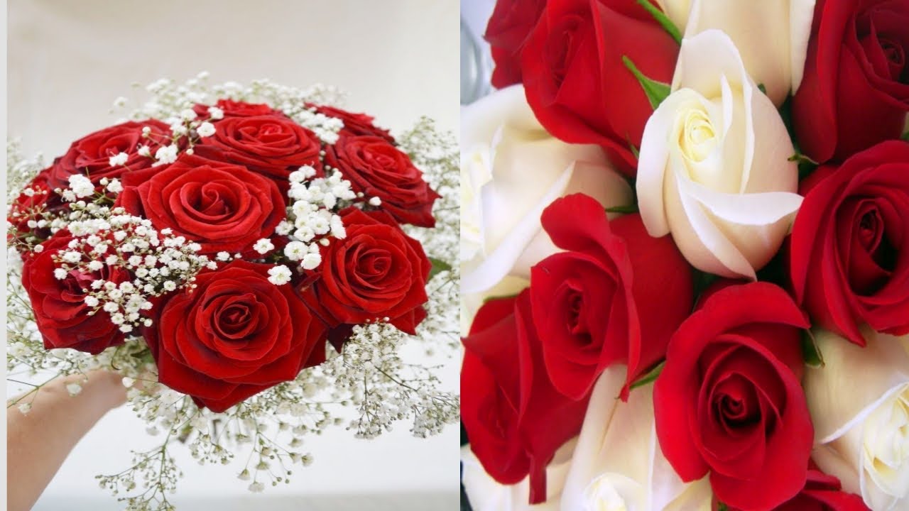 Beautiful Rose WhatsApp status Dpz Rose 🌹 Profilel DPZAREA YouTube