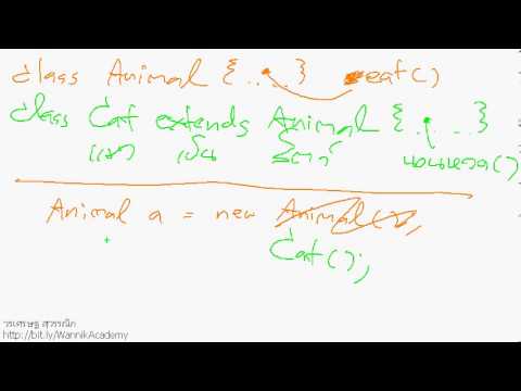 [java] Animal a = new Cat(); การสืบทอด