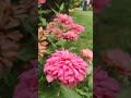 #chittaranjan Childrens park#viralvideo #shorts_ #trendingvideo