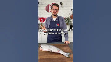 Почему чавыча такая редкая рыба? Деликатеска.ру #shorts