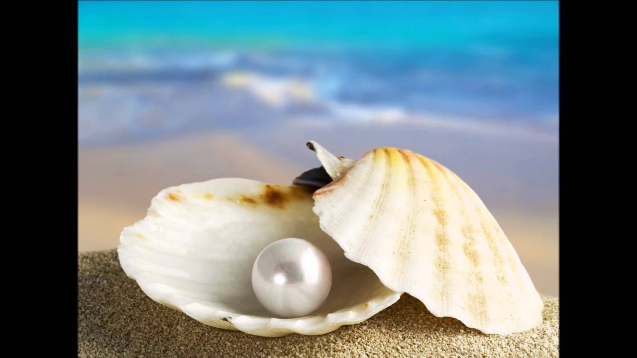 A Ostra e a Pérola - Reflexão - YouTube