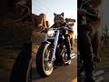 A cat riding a motorcycle with a lion cub 😱😱😱 #highlights #viralshort
